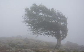 15 județe, sub avertizare cod galben de vreme severă până diseară. Meteorologii anunță vânt puternic în Moldova, estul și sud-estul Transilvaniei