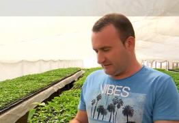 Cum vor românii să economisească bani, după ce legumele s-au scumpit. Afacerea lui Laurențiu e la mare căutare: "Clienții ne-au sunat să-și rezerve"