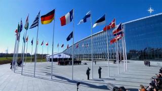 România, 20 de ani în NATO. Geoană: Ţara noastră este sigură, în cadrul celei mai puternice alianţe din istoria umanităţii