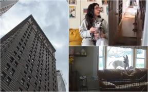 Mărturii dramatice, în urma cutremurului de 4,8 grade care a zguduit New York-ul: "Am crezut că tavanul se va prăbuşi"