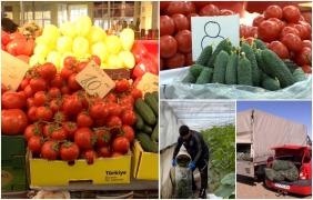 Localitatea renumită în ţară pentru legume, unde sunt peste 4.000 de producători cu solare. Samsarii sunt cei care dictează piaţa, iar oamenii ajung să vândă pe nimic