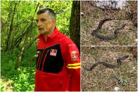 Traseele montane unde au apărut primele vipere. Ce pot face turiştii în cazul în care sunt muşcaţi de şarpele veninos