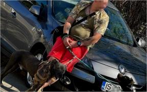 Bărbat de 38 de ani, prins în timp ce aborda eleve pentru videochat, în apropierea unui liceu din Iaşi. Individul împărţea pliante