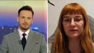 Pădurile seculare ale României, transformate în noptiere sau scaune la IKEA. Greenpeace: "Avem doi vinovaţi morali"