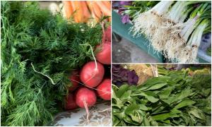 Verdețuri populare în post, descoperite cu pesticide peste limita maximă admisă. Avertismentul Autorității Naţionale Fitosanitare