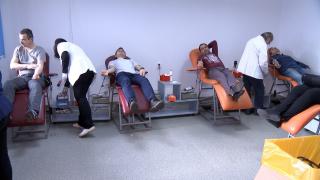 Beneficii mai mari şi facilităţi pentru donatorii de sânge. Câţi bani primeşti dacă donezi sânge de 5 ori pe an