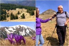 Peisaj de o frumuseţe rară la cota 2.000, în vârful Păpuşa. Priveliştea a lăsat turiştii fără suflare: "E altceva"