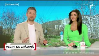 Legume "de ţară" în inima oraşelor din România. Vecinii lucrează pământul împreună, pentru a mânca sănătos