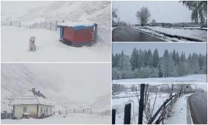 De la vară, la iarnă, în mai puţin de 24 de ore. Când revin temperaturile de peste 25 de grade Celsius