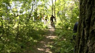 Regulile "aberante" din noul Cod Silvic, criticate de activiştii de mediu. Ce ar trebui să facă cei care vor să se plimbe cu bicicleta prin pădure