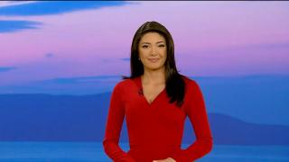 Observator de bine, 19 aprilie 2024. Cel mai mare dezvoltator de energie solară din Europa se pregăteşte să intre pe piaţa din România