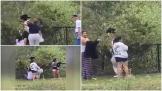 Momentul în care mai mulţi turişti dau jos din copac un pui de urs ca să facă selfie cu el. Animalul cade şi fuge îngrozit