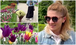 Unicul soi de lalele cu nume românesc. Peste 40.000 de flori parfumate împodobesc grădina din Dealul Copoului