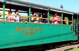 Cât costă o plimbare cu Mocăniţa de la Sovata. Experienţa prin pădurea fermecată, de neuitat