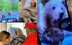 Turista din Scoţia muşcată de urs a făcut poză chiar înainte de atac. "M-am gândit că vrea să fim prieteni"