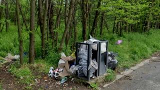 Drumul spre mare, plin de gunoaie. Pe lângă turişti, de vină ar fi hotelierii care aruncă la marginea pădurii toate deşeurile