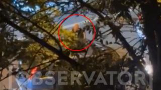 Măcinat de gelozie, un bucureștean și-a urmărit soția în trafic și a lovit-o cu un cuțit. Individul a fost prins la graniță și arestat