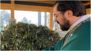 Care este semnificaţia ramurilor de salcie, pe care credincioşii le primesc la biserică în Duminica Floriilor