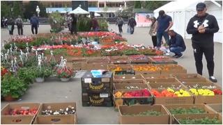 Explozie de culoare la Reşiţa. Sute de flori au fost scoase la vânzare, însă localnicii au rămas dezamăgiţi: "Cam scumpe"