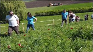 O rezervaţie de bujori unică în Europa se află în România. E situată pe cel mai înalt loc din lume la care această plantă s-a adaptat