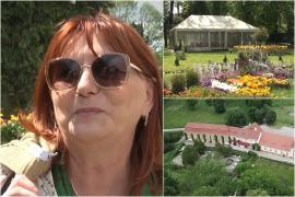 Oaza de linişte din inima Transilvaniei, unde te poţi răsfăţa la poalele munţilor înconjurat de un peisaj exotic: "Mirific!"