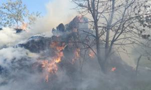 Dezastru în Botoşani, de la scânteia unui flex: 70 de tone de furaje, zece pomi, dar şi un utilaj agricol s-au făcut scrum