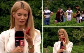 Minunea din grădina unui sătmarean. Fructele sale ajung să cântărească şi 140 de grame şi se vând cu doar 20 de lei kilogramul