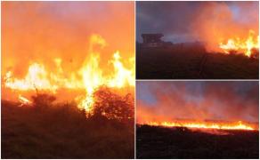 Pompierii s-au luptat mai bine de 7 ore cu un incendiu care a mistuit zeci de hectare, în Botoşani. Au folosit inclusiv lopeţi ca să stingă vâlvătaia