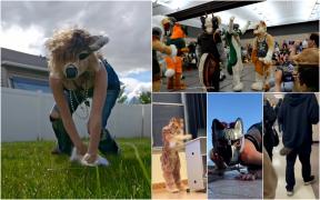 Elevi care se identifică drept animale şi vin îmbrăcaţi ca vulpi şi papagali la liceele din România. "Urcă în patru labe scările"