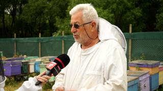 Afacerile românilor care au fost afectate de diferenţele mari de temperaturi. Producţia a scăzut, iar efectele le vom vedea la raft