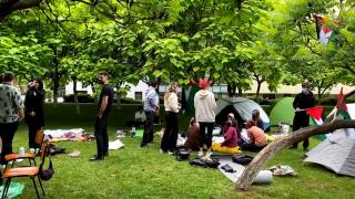 Mitinguri pro-palestiniene în România. Studenții cer Universității București să întrerupă legăturile cu Israelul: "Genocid sub ochii noștri". Reacția instituției