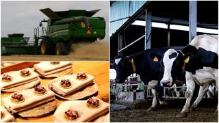 Cum a reușit Ungaria să găsească rețeta succesului și să dea o lecție României la capitolul agricultură. Produsele ajung din fermă direct în furculiță