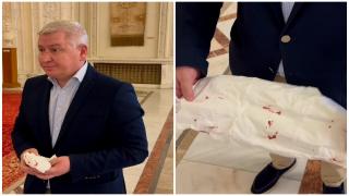 De ce s-au luat la bătaie Florin Roman şi Dan Vîlceanu. "Era ieşit din minţi. M-a lovit cu genunchiul în faţă ca în scenele de K1"