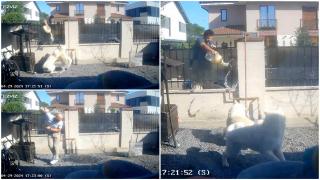 "Mă, nesimțitule, îţi dau foc". Momentul în care un bărbat stropeşte cu benzină câinii vecinului pentru că "lătrau prea mult"