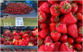 Cât de periculos poate deveni consumul de fructe. Ce ne recomandă nutriţioniştii