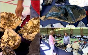 Locul care a devenit în aceste zile raiul pasionaţilor de flori de mină. Cel mai scump exponat ajunge la 175.000 de euro