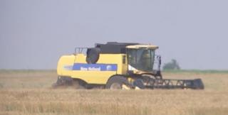 Fermierii români ar putea primi subvenții cu 30% mai mari. Cum am ajuns să importăm 80% din carnea de porc: polonezii primesc o sumă dublă