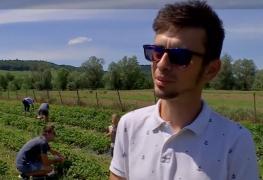 Afacerea cu care Dorin a făcut un profit neașteptat, deși își vinde produsele cu 30% reducere. Client: "E ceva deosebit"