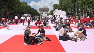 Picnic cu peste 4.000 de oameni, pe celebrul bulevard Champs Elysees din Paris. Invitaţii au primit coşuri gratuite cu delicatese pregătite cofetari faimoşi