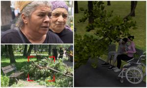 ANIMAŢIE. Tânără în scaun cu rotile, rănită grav de o creangă, în Parcul Bazilescu. "Mi-a distrus copilul"