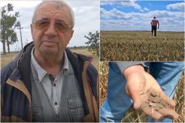 Afacerile românilor care se ofilesc pe zi ce trece. Fermierii se roagă ca un miracol să le salveze recolta: "Ne chinuim degeaba"