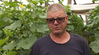 Leguma vândută de fermieri şi cu 80 de bani, dar care se dă la supermarket pe bani frumoşi: "De aia muncim, de aia ne sacrificăm"