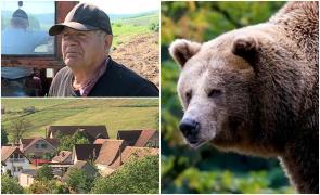 "Zice că l-a găsit fără o mână". Cioban la o stână din Mureş, sfâşiat de urs. Sălbăticiunea l-a atacat în timp ce păştea oile pe câmp