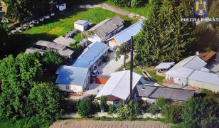Şase plantaţii de canabis, descoperite într-o casă din Pucioasa. Marfa era vândută pe grupul online "Iarba dulce"; 7 persoane, arestate