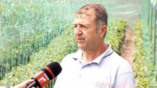 Afacerea cu care Sorin a dat lovitura înainte de startul sezonului. Vinde un kilogram cu 10 lei