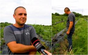 Tiberiu şi-a făcut o afacere din munca în propria grădină. Anul trecut a strâns o recoltă de 20 de tone şi le vinde la poartă cu 30 de lei kg