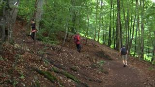 Cel mai popular traseu de pe Tâmpa, capcană pentru turişti. Ce riscă cei care o iau pe scurtăturile nemarcate