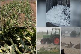 Ploaia cu grindină a tocat într-o oră recolte de milioane de lei din ţară. Zonele lovite de furtuni cu gheaţă zilele viitoare
