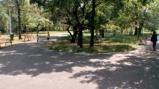 Adolescenta bătută de tatăl unui băieţel de 8 ani, pe care îl pălmuise în parc, a depus plângere. Împotriva bărbatului din Ploieşti nu s-au luat măsuri încă