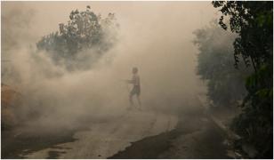 Incendiu puternic pe insula Evia din Grecia. Localnicii au fost rugaţi să rămână în alertă. Vara va fi foarte dificilă, avertizează autorităţile